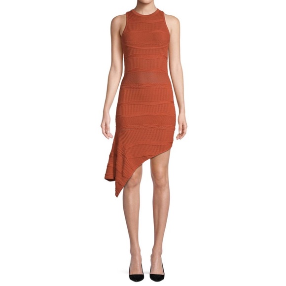 NWT TORN BY RONNY KOBO Alzata Dress